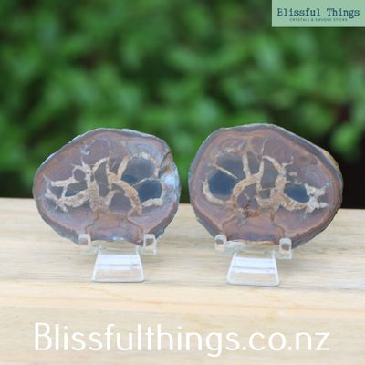 Septarian Cut and Polished Pair