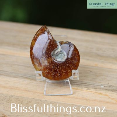 Ammonite with Opal Polished