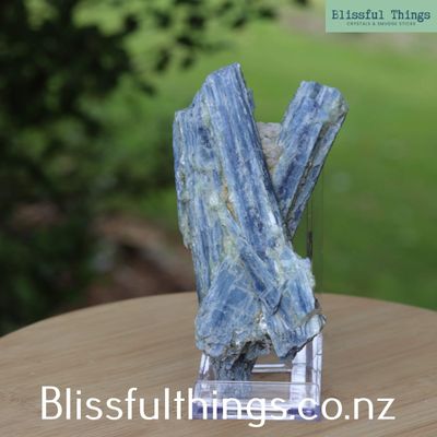 Blue Kyanite with Quartz
