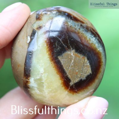 Septarian Palm Stone
