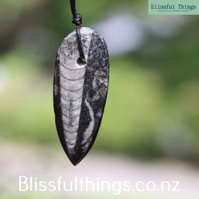 Orthoceras Fossil Pendant