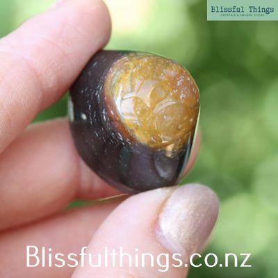 Shiva's Eye Agate