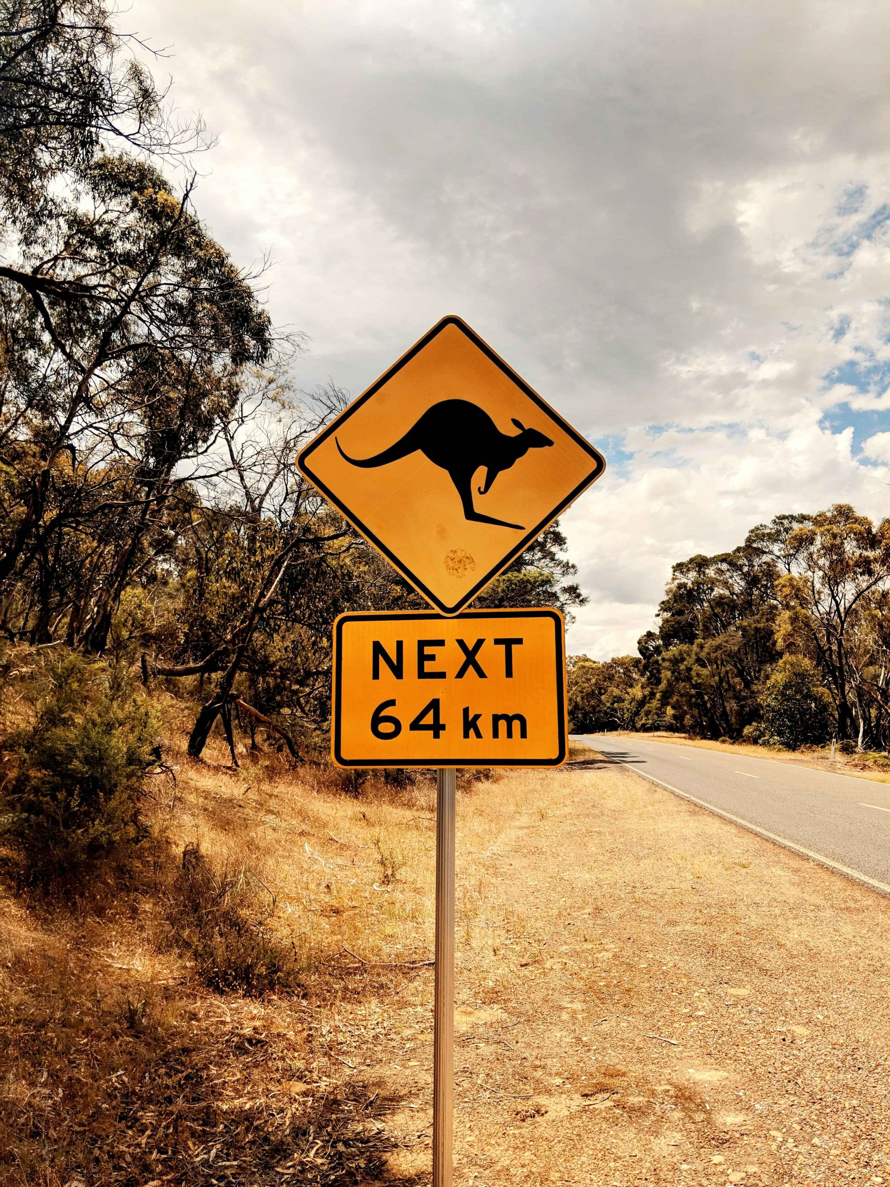 Australian kangaroo road sign in Australia