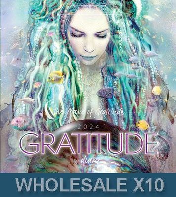 WHOLESALE - Box of 10 Gratitude Diary 2024