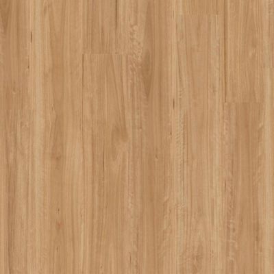 Bleached Blackbutt Eucalyptus Hybrid Flooring | Titan Hybrid