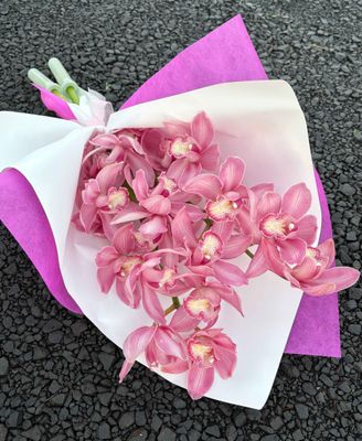 Mid week special - long lasting orchids!!!