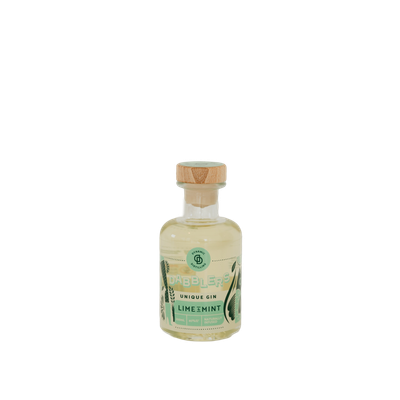 Dabblers Lime &amp; Mint Naturally Infused Gin - 200ml