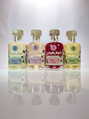 Dabblers Gin Gifting Pack