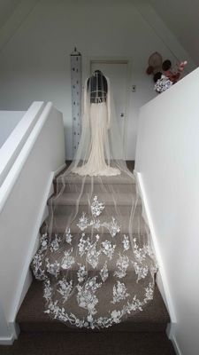 Champagne Veil with Embellishments