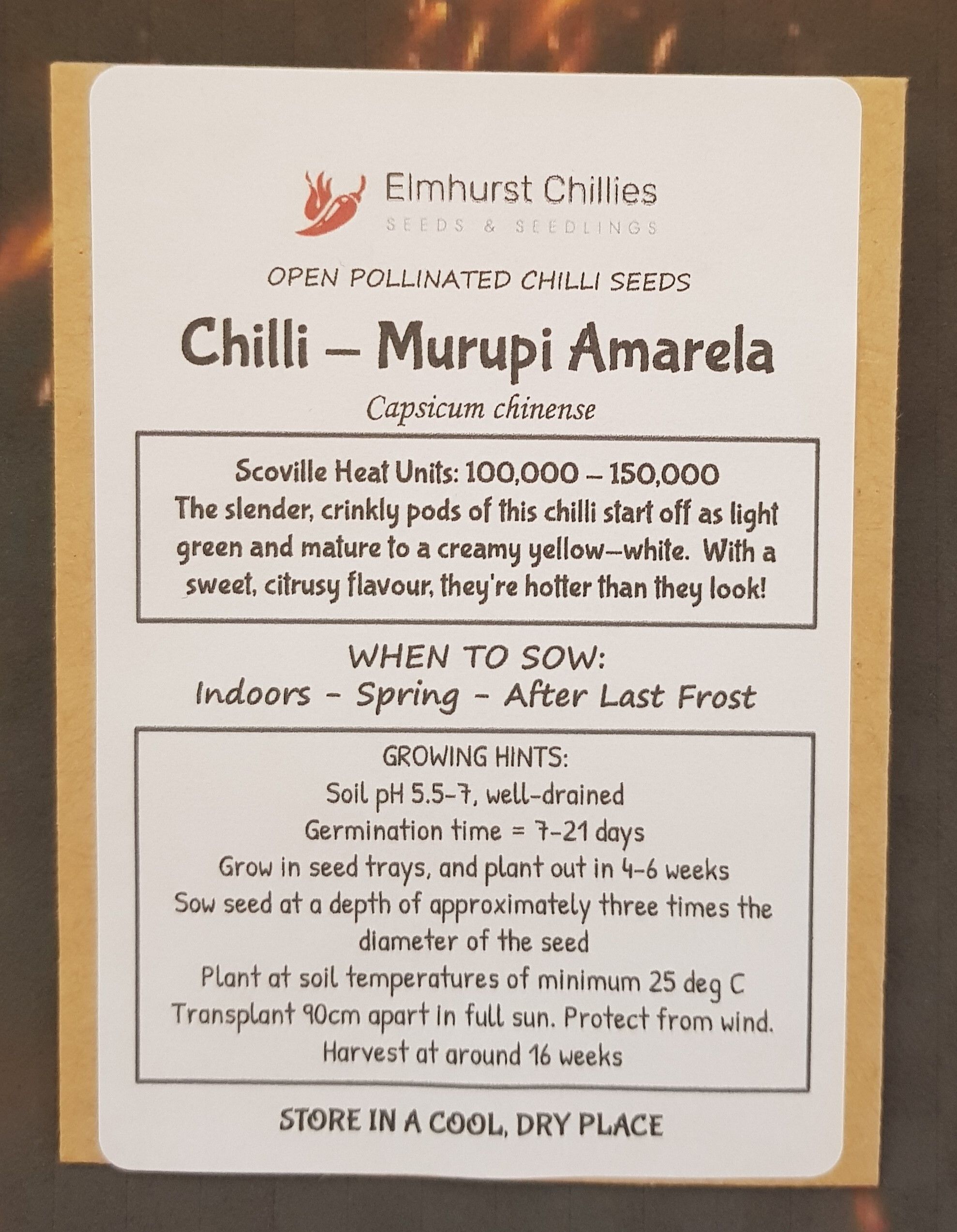 Chilli Seeds Murupi Amarela Capsicum Chinense Elmhurst Chillies