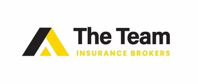 The Team Insurance Disclosures | The Team