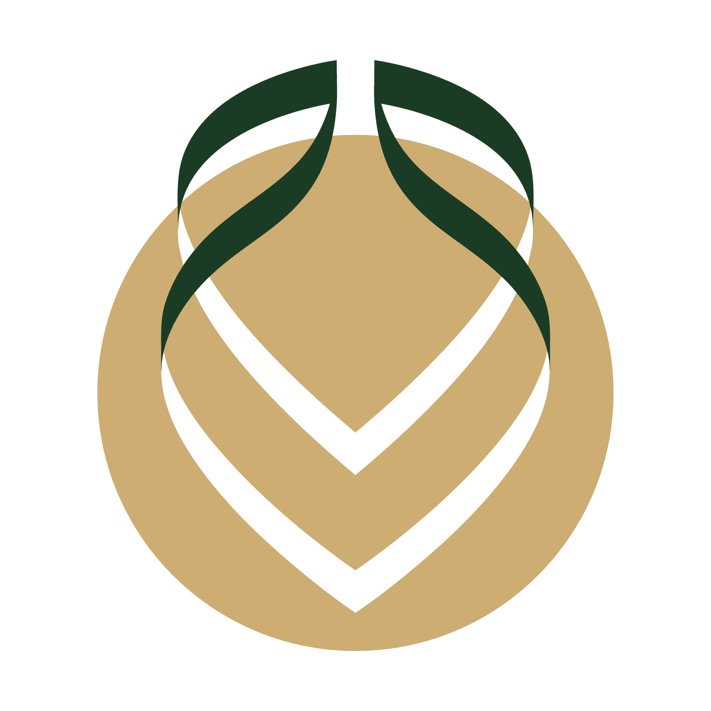 The Wellness ReWard Logo Icon