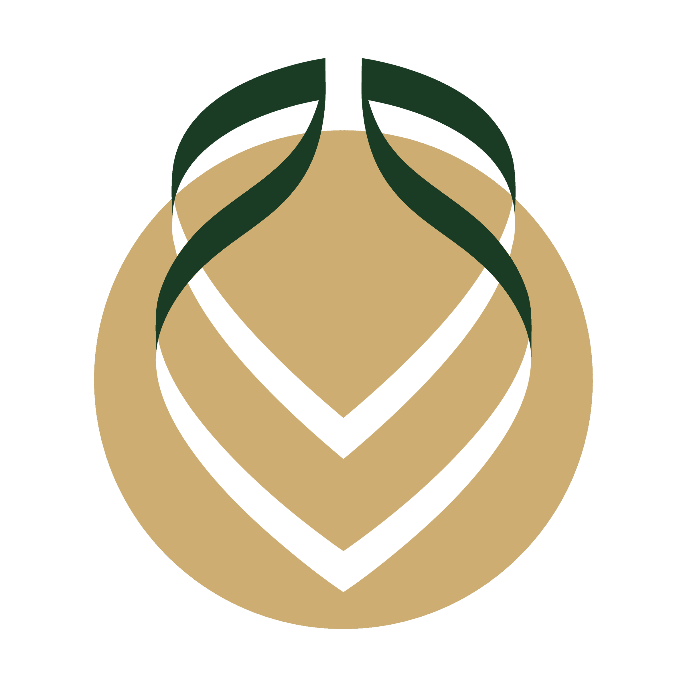 The Wellness ReWard logo icon