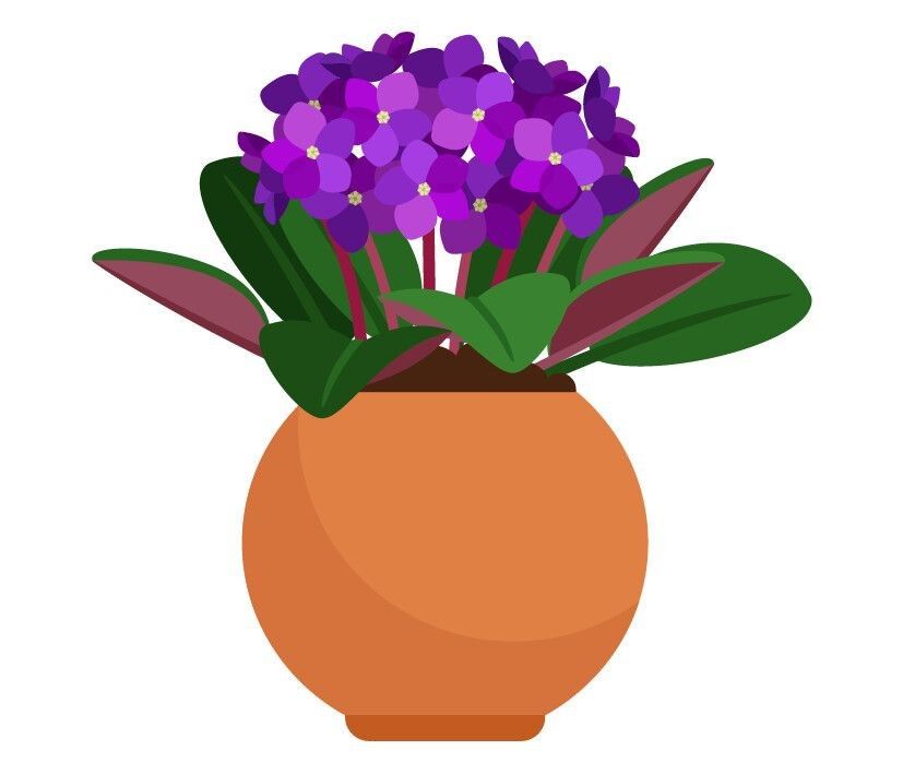 For all the latest gardening advice for Autumn, visit Amber Garden Centre