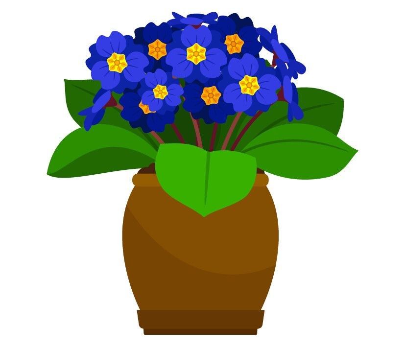 For all the latest gardening advice for Winter, visit Amber Garden Centre