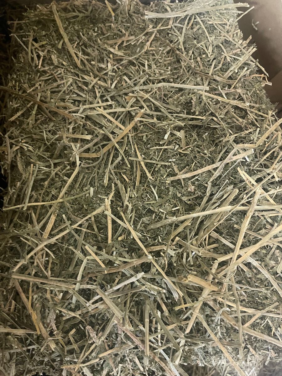 Straw, Lucerne or Hay