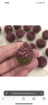 16 Frosted Mini Cupcakes - 95g - Bluebelle's Bunny Bakery
