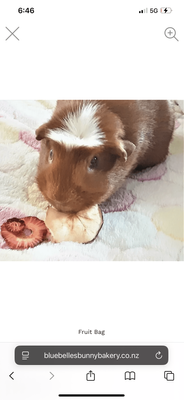 Fruit Bag - 90g - Bluebelle's Bunny Bakery