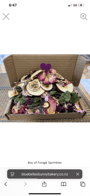 Box of Forage Sprinkles - Bluebelle's Bunny Bakery