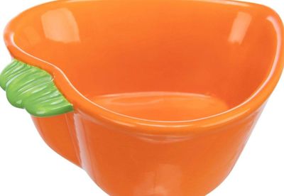 Trixie Ceramic Carrot Bowl 180mL