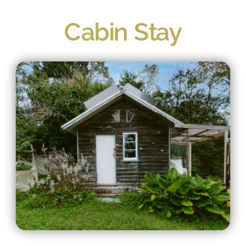 Cabin Stay (Long Term)