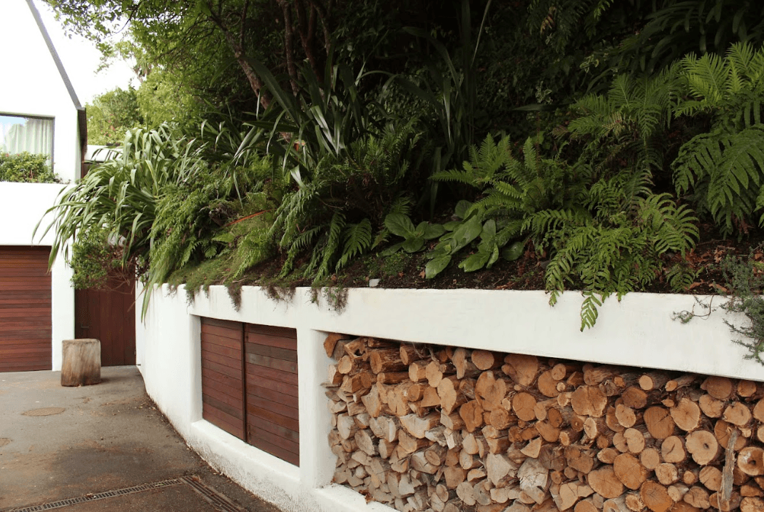 Wellington Garden Designed with Bank of Native Ferns 