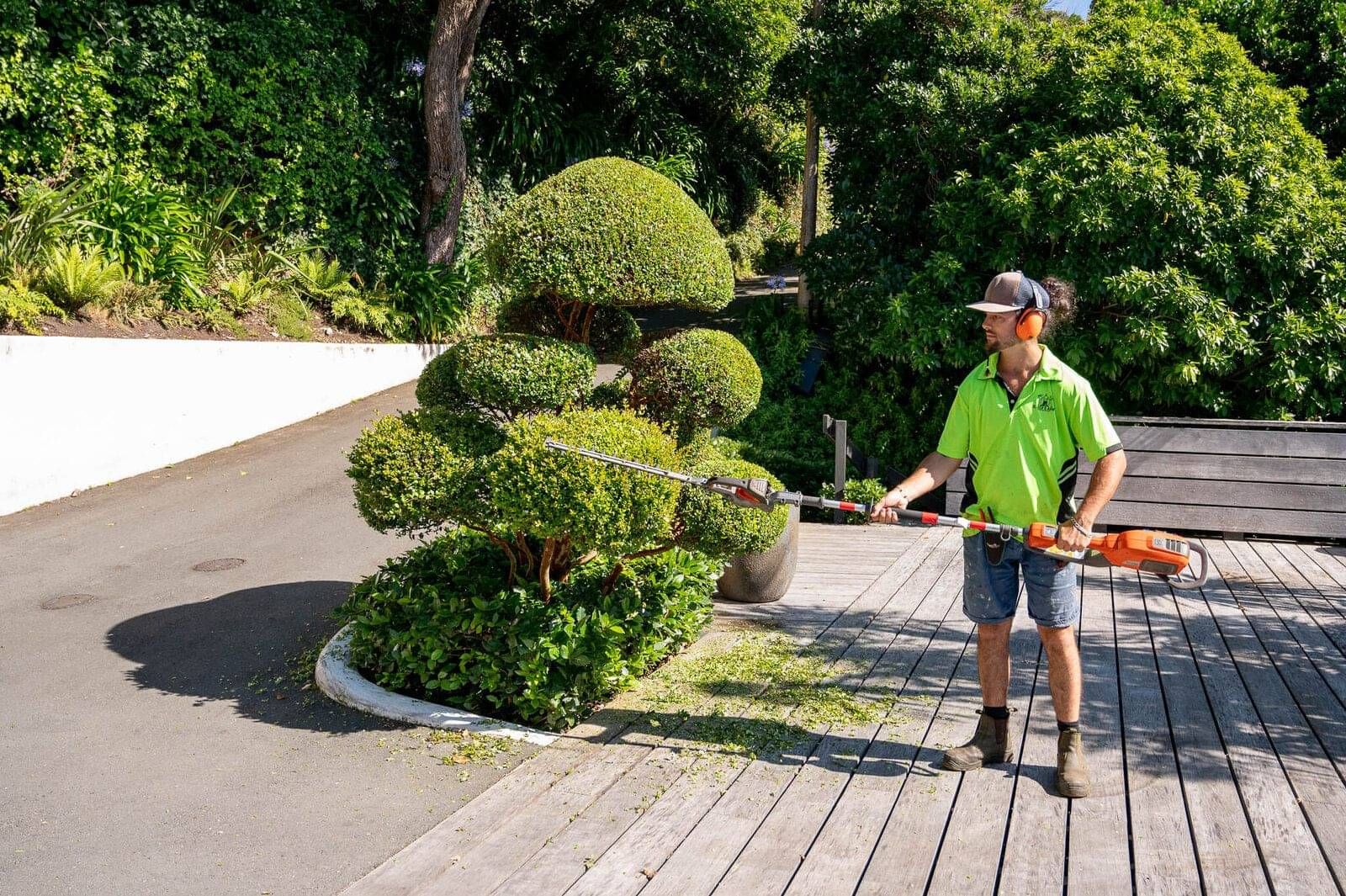 Regular Garden Maintenance Services in Wellington | Oliver's Army