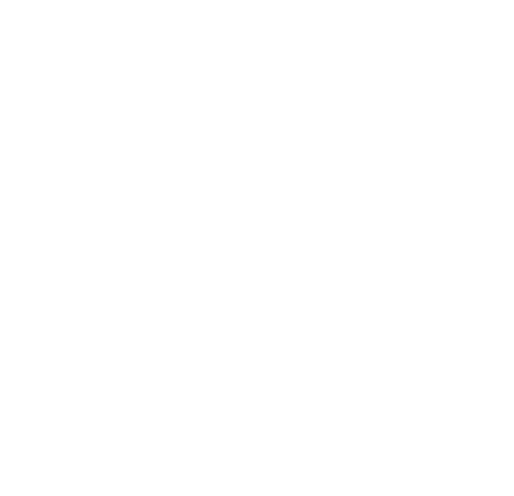 Consultancy plan icon