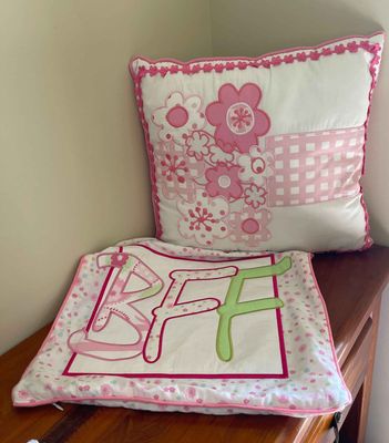 Cushion and 1 Cushion Cover