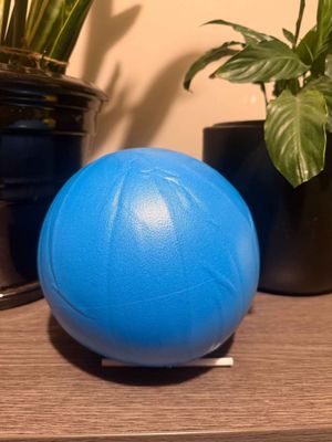 Mini Pilates Ball 30cm