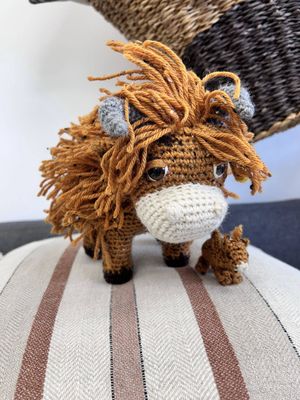 Rachel Brooking Highland Cow