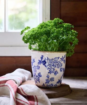 French Country Blue Floral Herb Pot