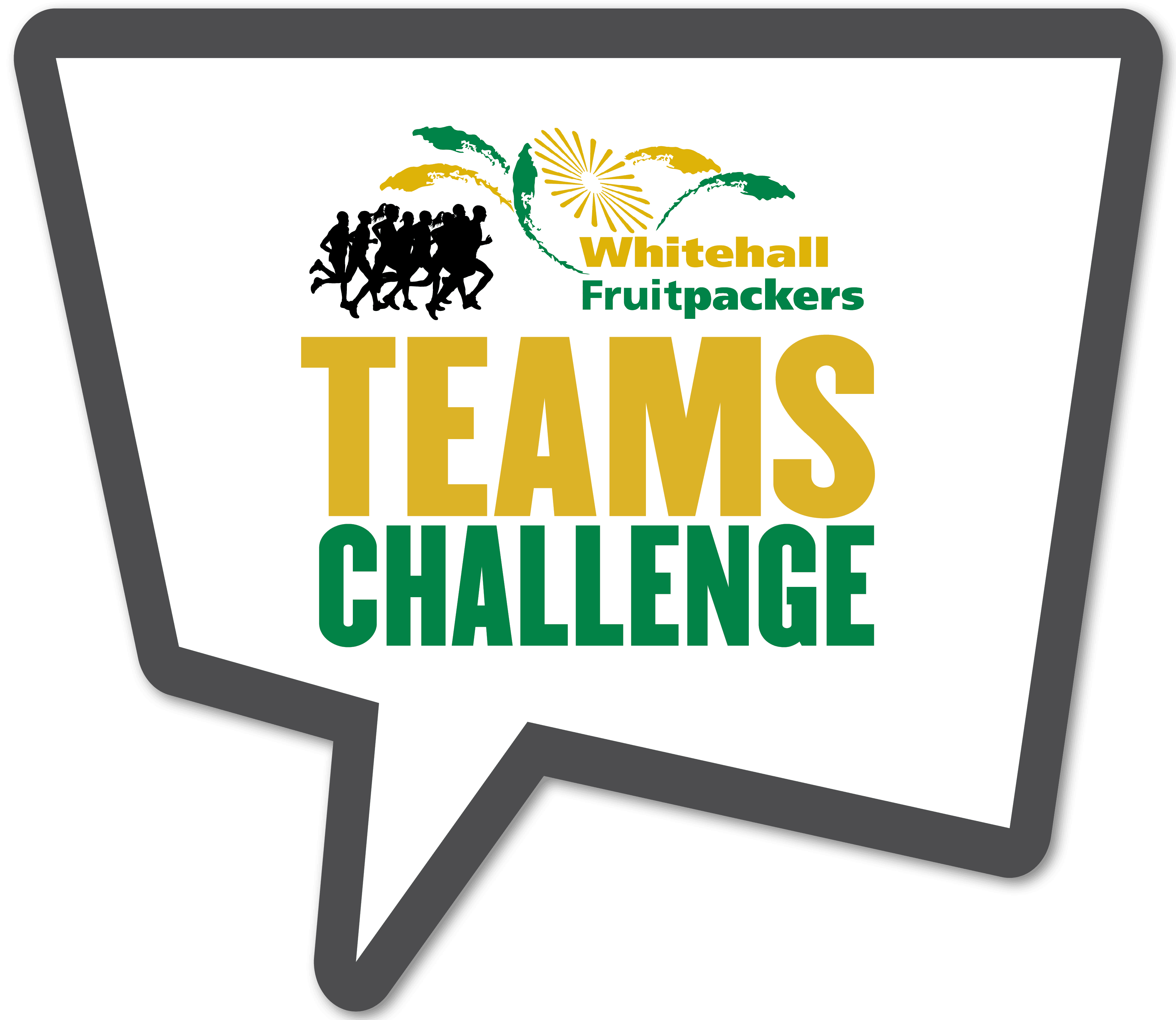 Enter the Waipa Fun Run Teams Challenge