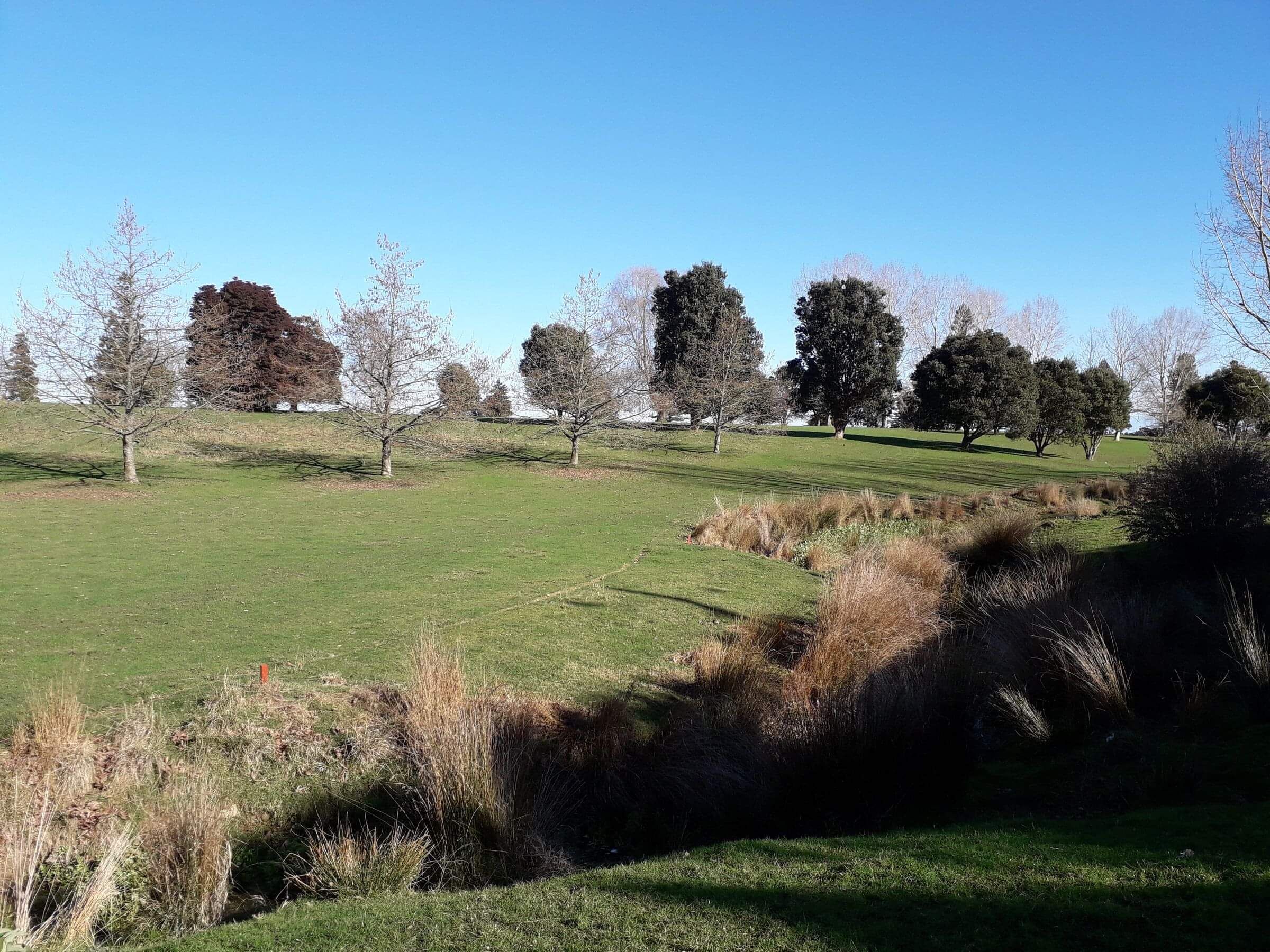 Golf Memberships  Buckley Golf Club