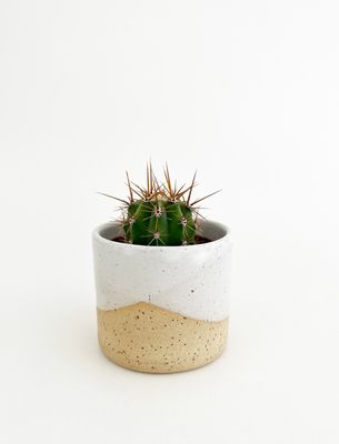 Little Planter