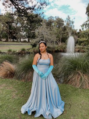 Tiana Dress (For Hire)