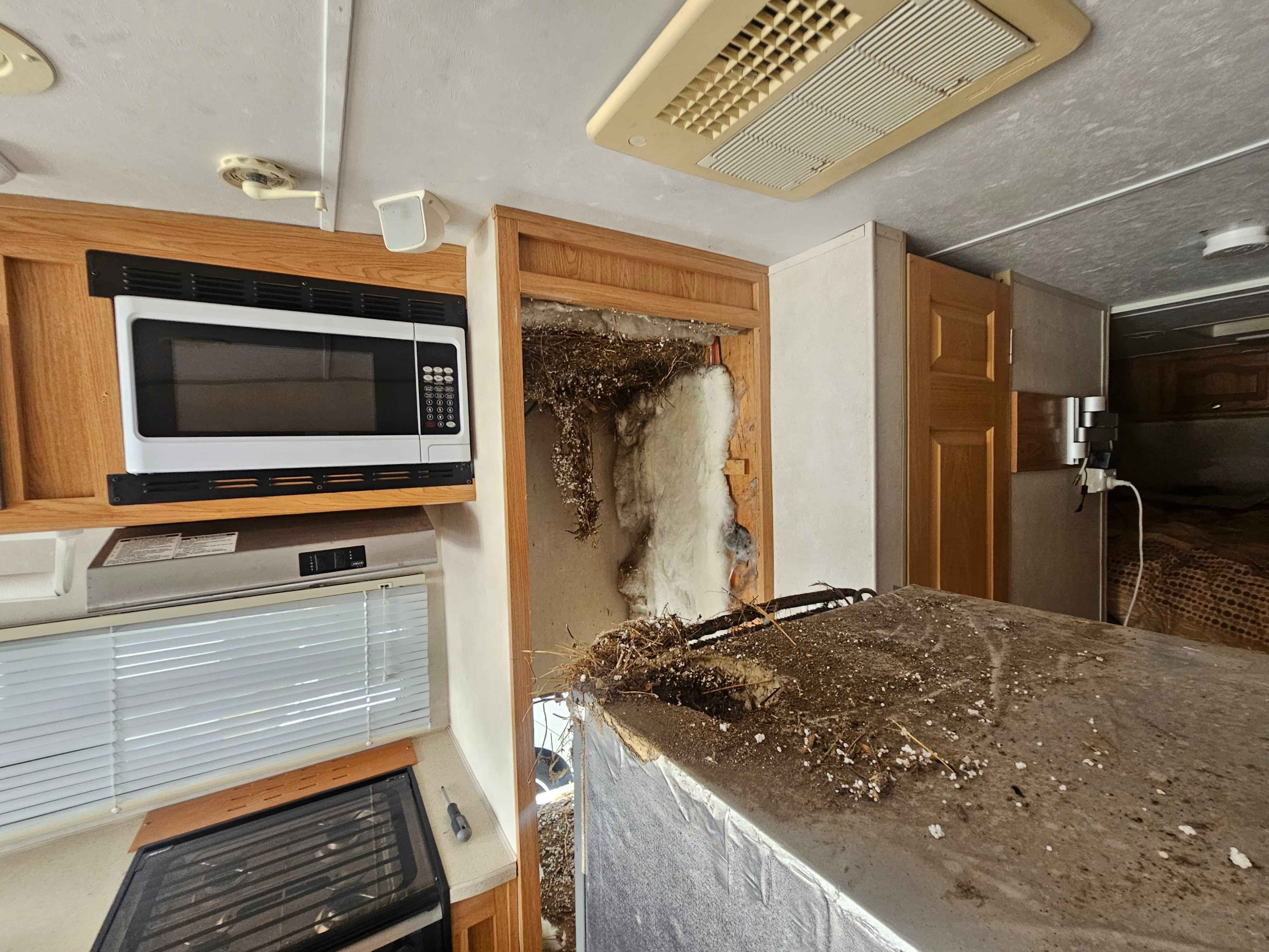 Motorhome at CoolCar workshop with rodent nest behind fridge