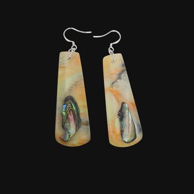 Paua Earrings