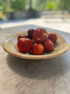 Haystack Large Serving Bowl