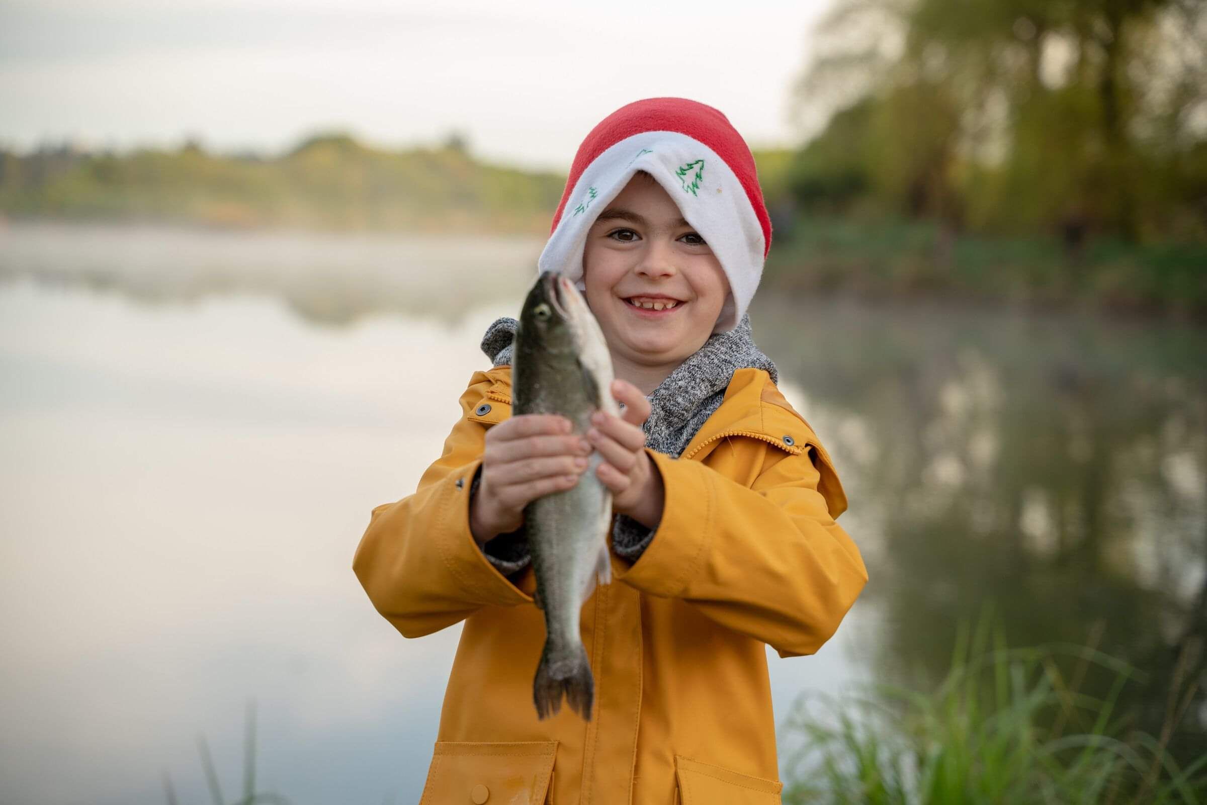 Snow capped mountains 