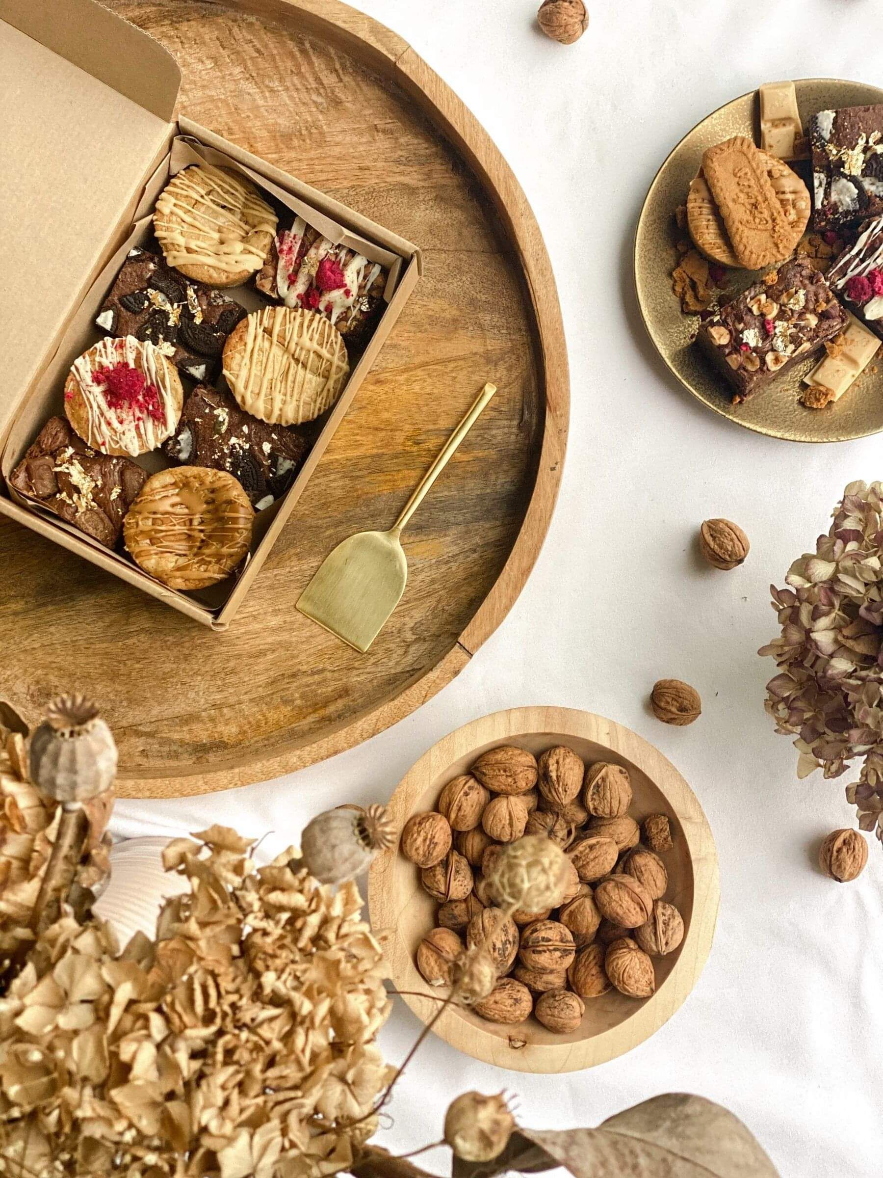 Snow capped mountains 