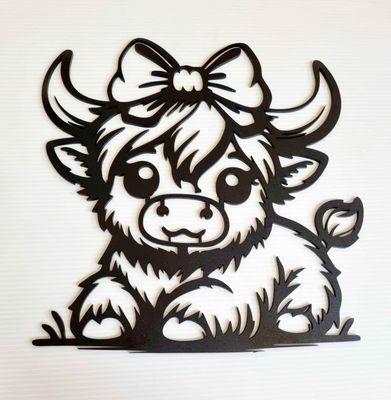 Highland Cow Cuteness Overload