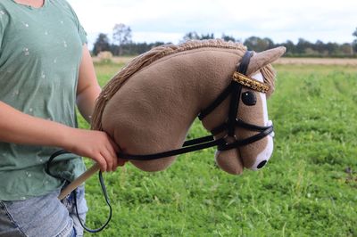 Hobby Horse Medium: Angel