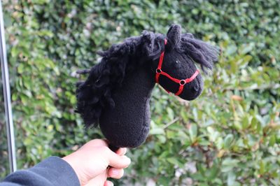 Mini PonyPal: Midnight