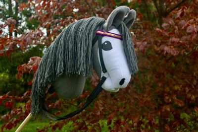 Arabian Hobby Horse: Violet