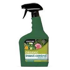 Organic insect control with pyrethum