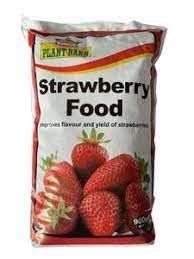 Kings Strawberry Food - 900gm