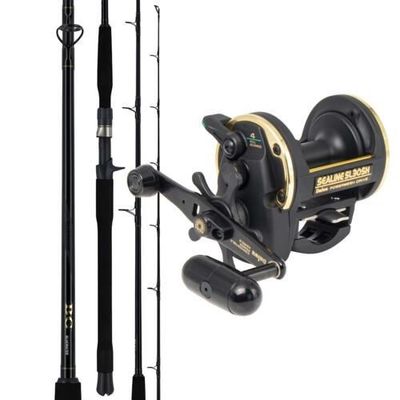 Daiwa Sealine SL30SH / BG Bluewater 6&#039;4&quot; O/H Combo