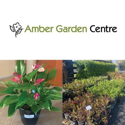 Amber Garden Centre