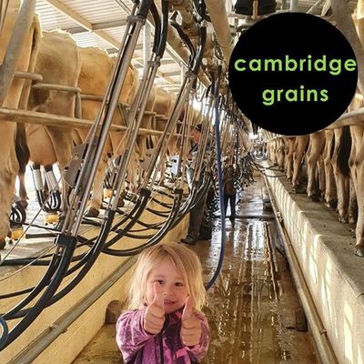 Cambridge Grains Ltd